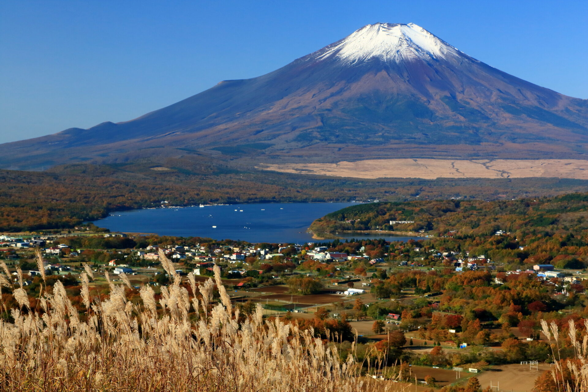 【紅葉】丹沢の紅葉コースまとめ(西丹沢エリア) - Yamarii Magazine(あの山に行きたいを叶える)